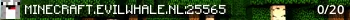 minecraft.evilwhale.nl Live Banner Small