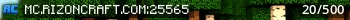 RizonCraft Live Banner Small