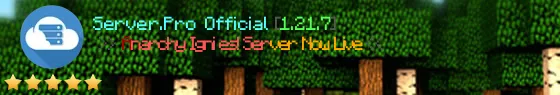 minecraft.1337srv.com Live Banner