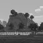randompvp.net Favicon
