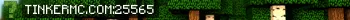 tinkermc.com Live Banner Small