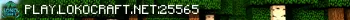 LokoCraft Live Banner Small