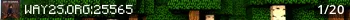 Way To Survive Live Banner Small
