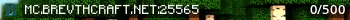 BrevthCraft Live Banner Small
