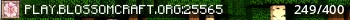 BlossomCraft Live Banner Small