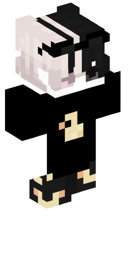 Minecraft Skin #150997