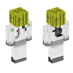 Minecraft Skin #151977