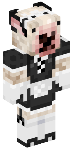 Minecraft Skin #152143