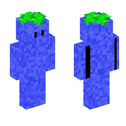 Minecraft Skin #