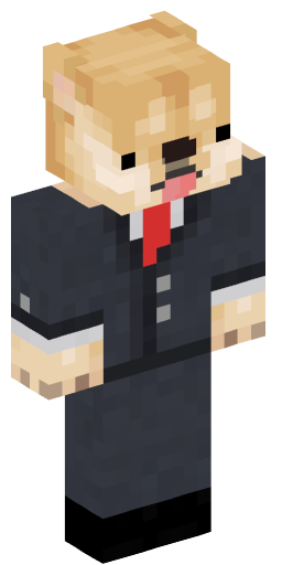 Minecraft Skin #153269