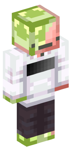 Minecraft Skin #153400