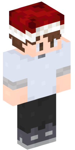 Minecraft Skin #156351