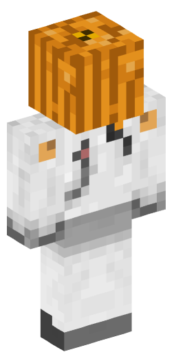 Minecraft Skin #156965