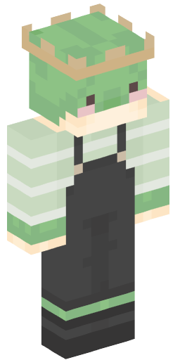 Minecraft Skin #158066