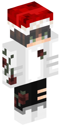 Minecraft Skin #158213