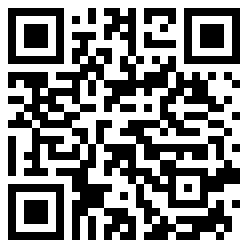 Polizei QR Code