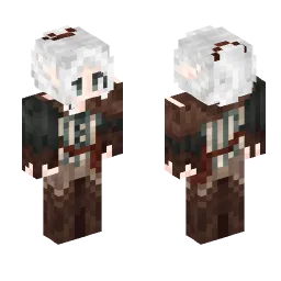 Minecraft Skin #