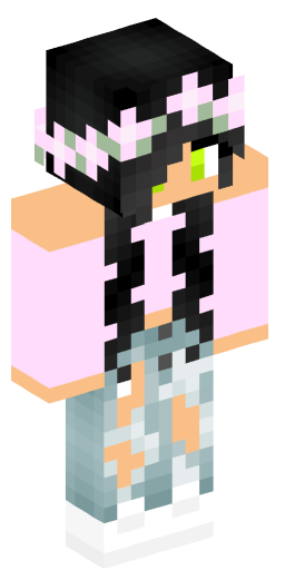 Minecraft Skin #160495