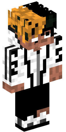 Minecraft Skin #161371
