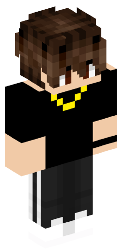 Minecraft Skin #161683