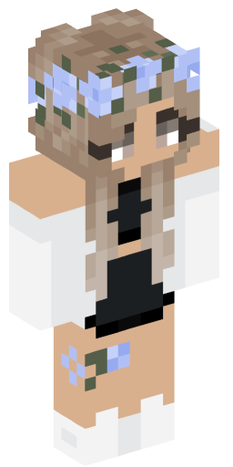 Minecraft Skin #162502