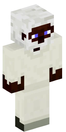 Minecraft Skin #162557