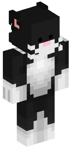 Minecraft Skin #162625