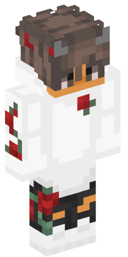 Minecraft Skin #162697