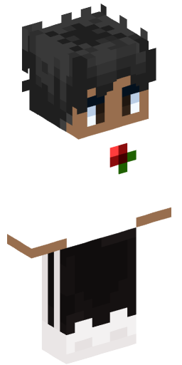 Minecraft Skin #163101