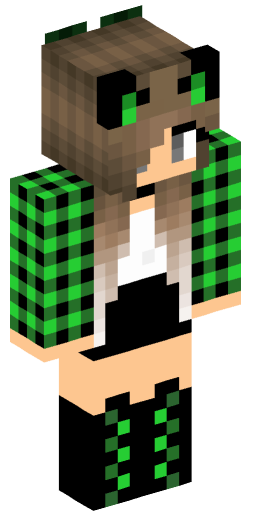 Minecraft Skin #163304