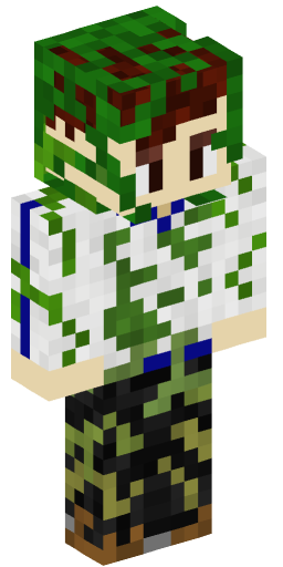 Minecraft Skin #164884