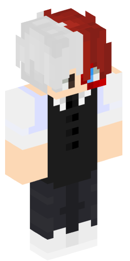 Minecraft Skin #165057
