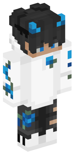 Minecraft Skin #165217