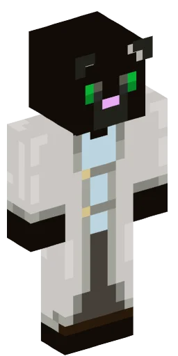 Minecraft Skin #165311
