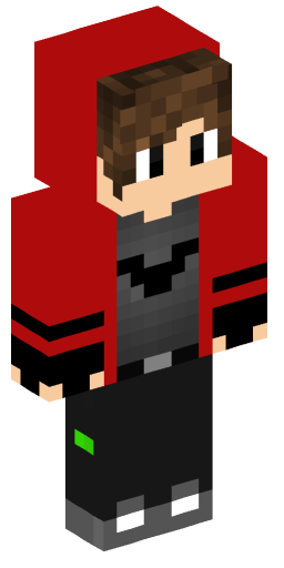 Minecraft Skin #165312