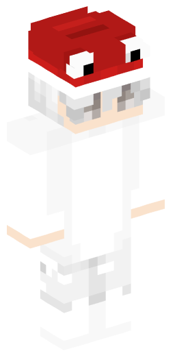 Minecraft Skin #165350