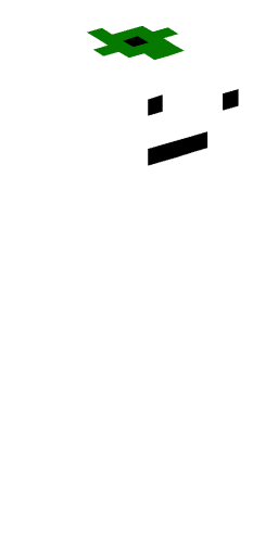 Minecraft Skin #165400