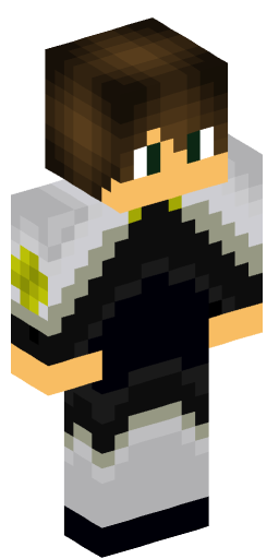 Minecraft Skin #165496