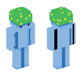 Minecraft Skin #165528