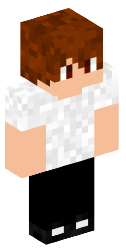 Minecraft Skin #165972