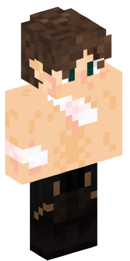 Minecraft Skin #166350