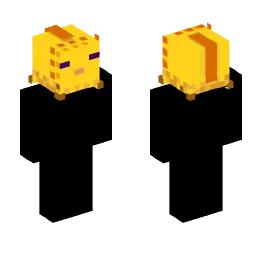 Minecraft Skin #166378