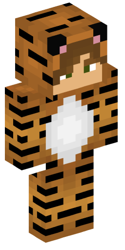 Boeing Minecraft Skin Preview on Minecraft.Co.Com