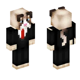 Minecraft Skin #167335