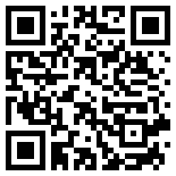 punchette QR Code