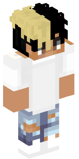 Minecraft Skin #168121