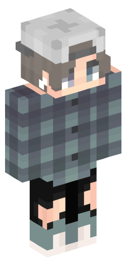 Minecraft Skin #168501