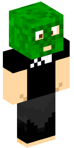 Minecraft Skin #169098