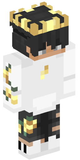 Minecraft Skin #169404