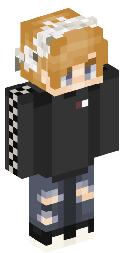 Minecraft Skin #169823